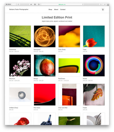 A screencapture of a website with a grid of square colorful images. The images have prices under them.